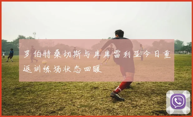 罗伯特桑切斯与库库雷利亚今日重返训练场状态回暖