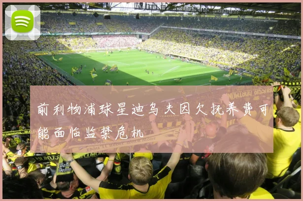 前利物浦球星迪乌夫因欠抚养费可能面临监禁危机